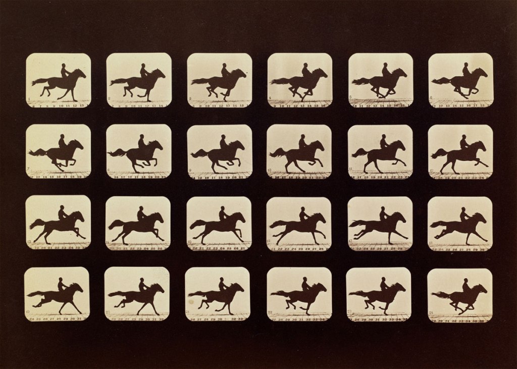 muybridge_05_horses_phryne-web